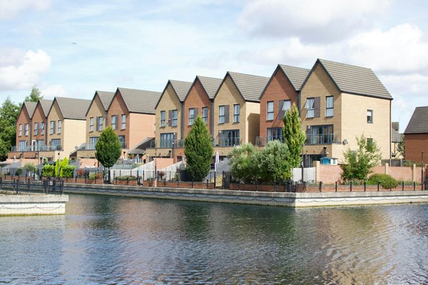 Les meilleures plantes aromatiques pour booster votre réussite en hydroponie verticale