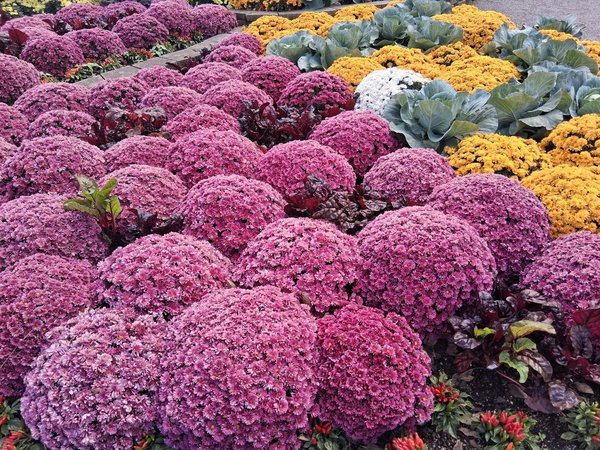 Découvrez les Meilleures Stratégies de Ventilation pour Optimiser une Maison Passive