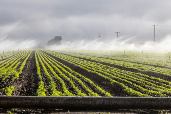 Top stratégies pour améliorer votre irrigation commerciale